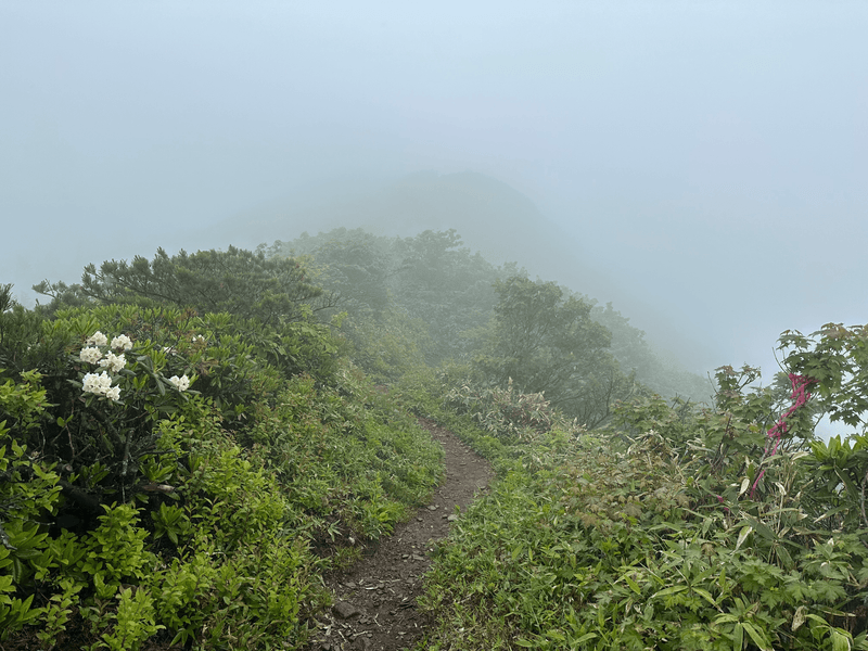 summit approach