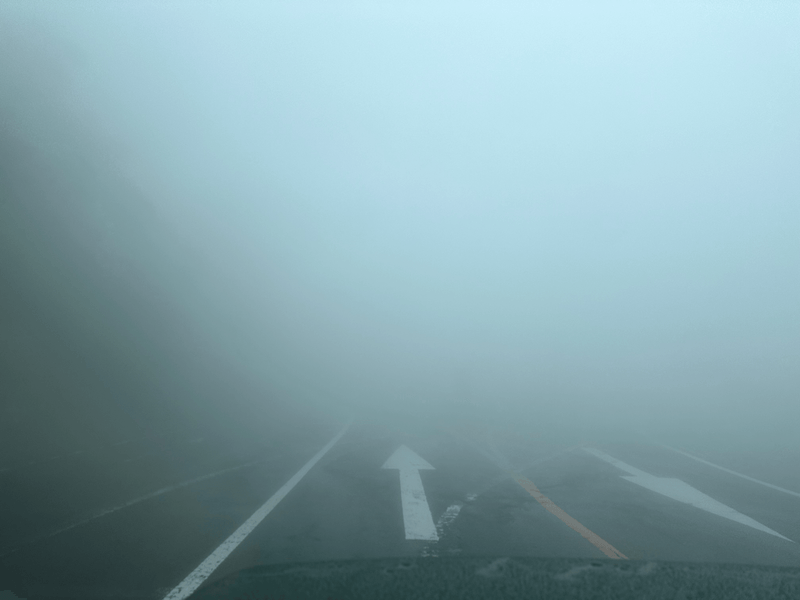 the fog