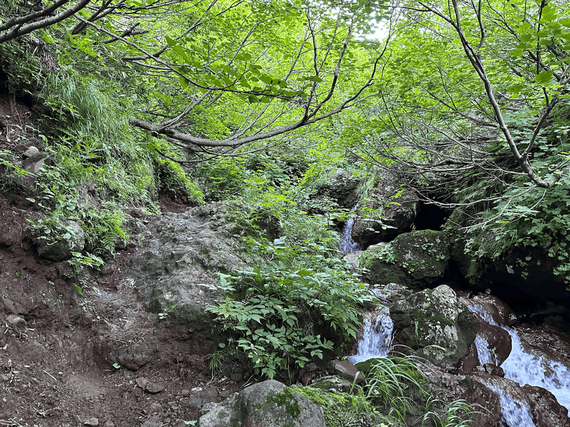 trail gets steeper