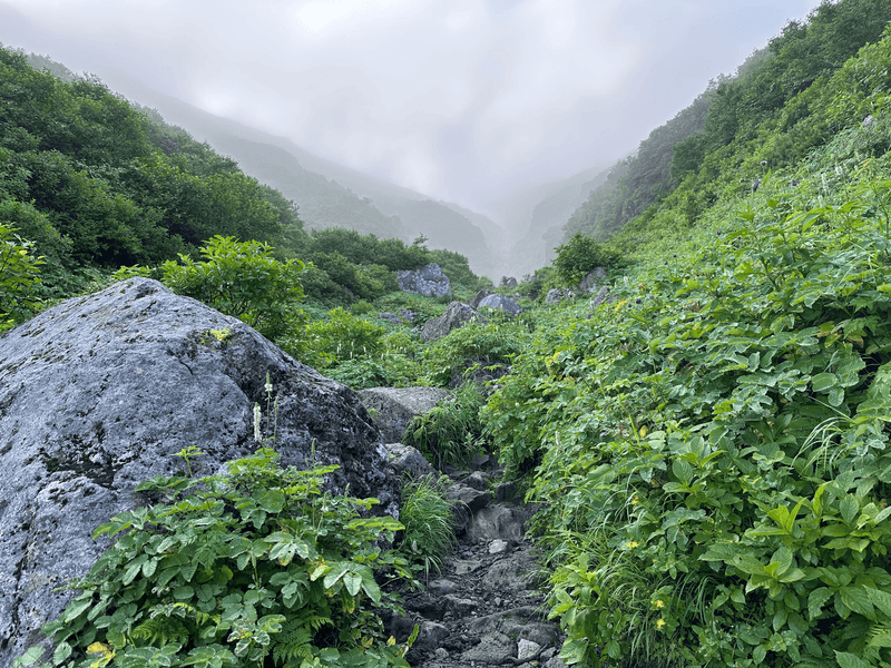 ravine