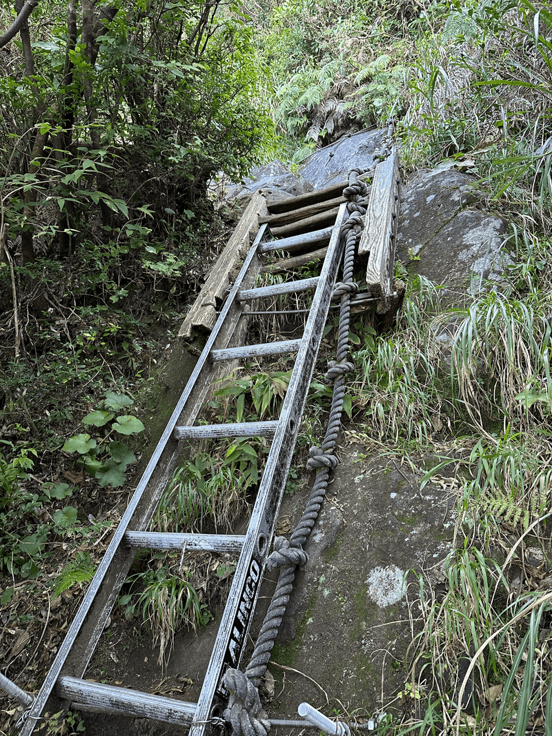 ladder