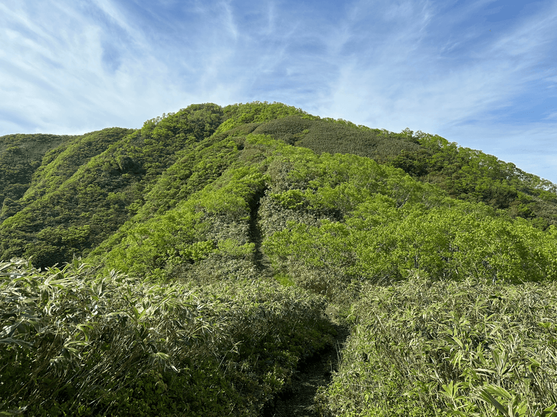 Mt Arashima (荒島岳)