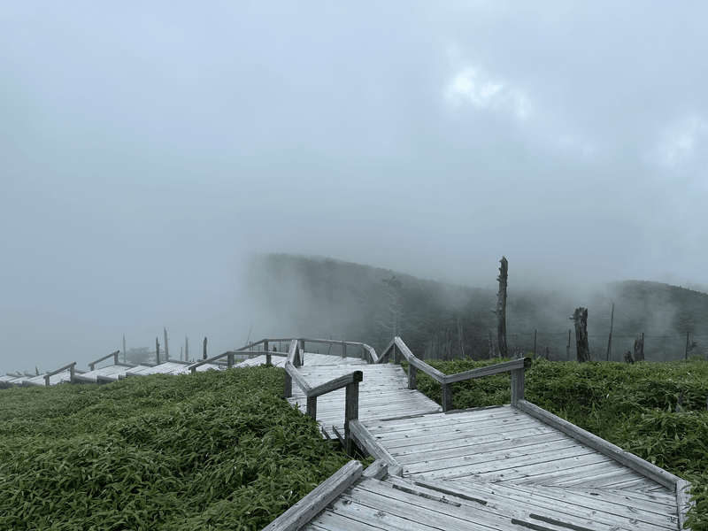 Mt Odaigahara (大台ヶ原山)