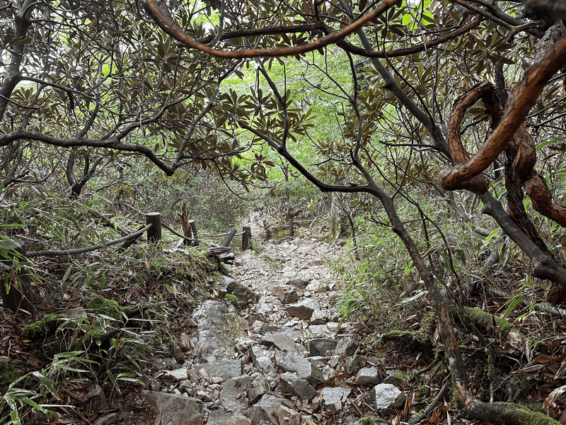 rocky descent