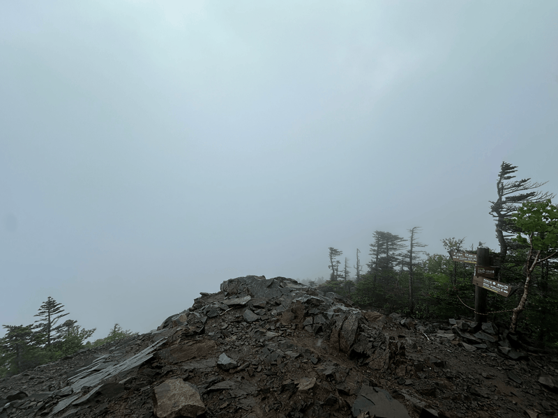 Mt Kobushi (甲武信ヶ岳)