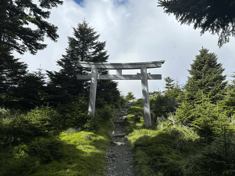 Mt misen torii