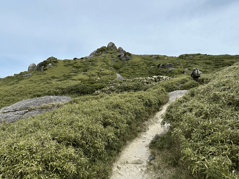 mountain trail
