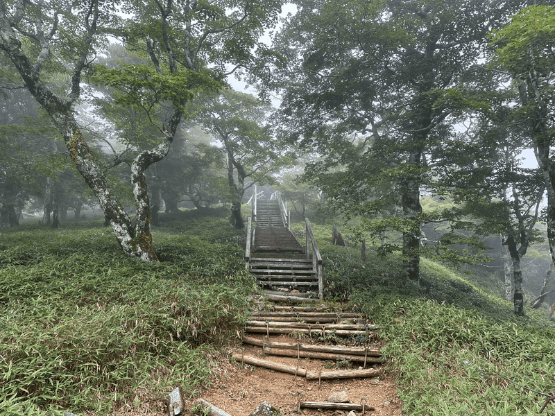 stairs up to hinode