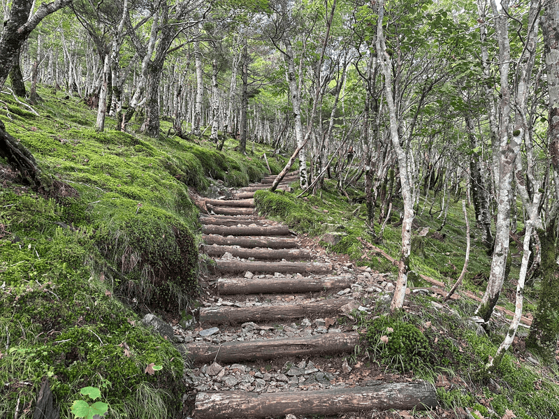 stairs