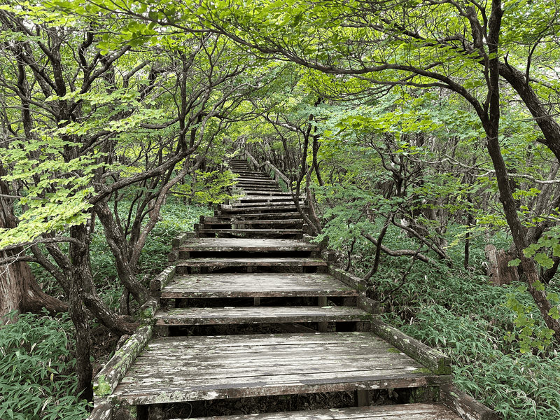 boardwalk