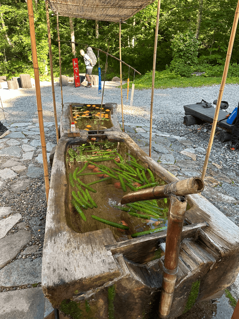 wasabi daira cucumbers