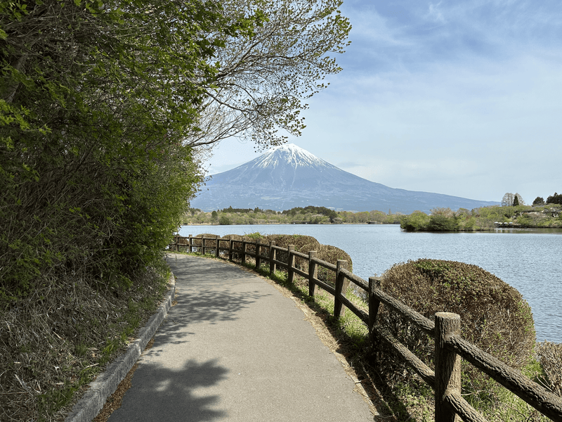 lake tanuki 2