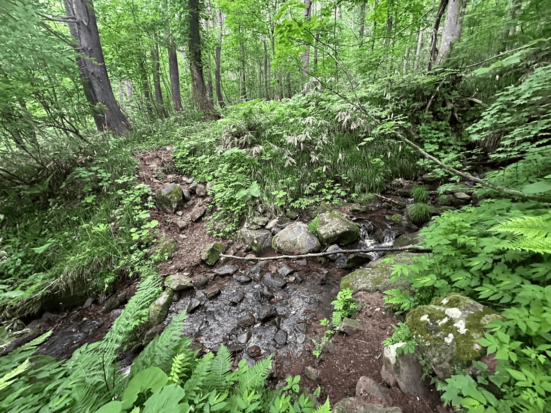 river crossing