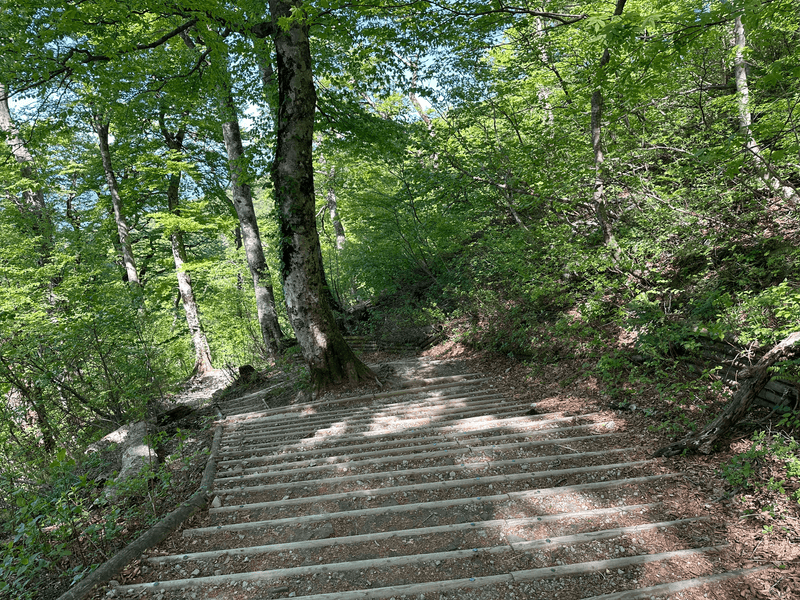 descent stairs