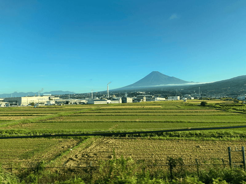 mt fuji from train