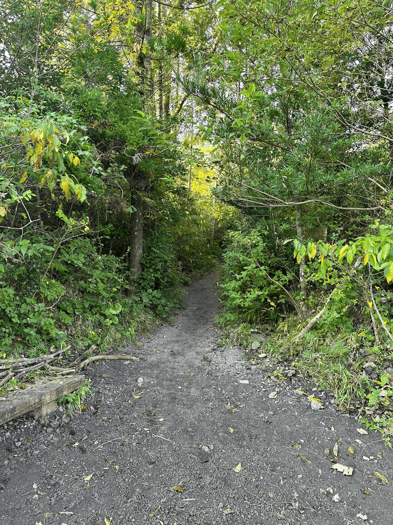 trail start