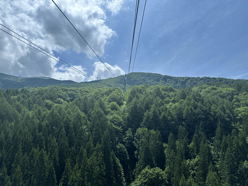 ropeway up