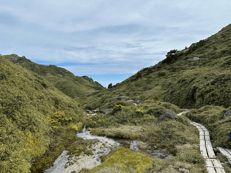 wetland trail