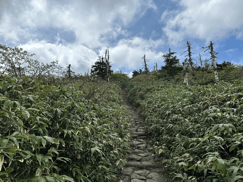 first stairs