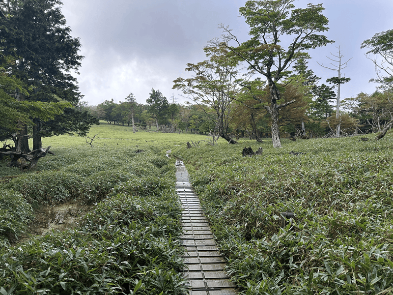 flat trail