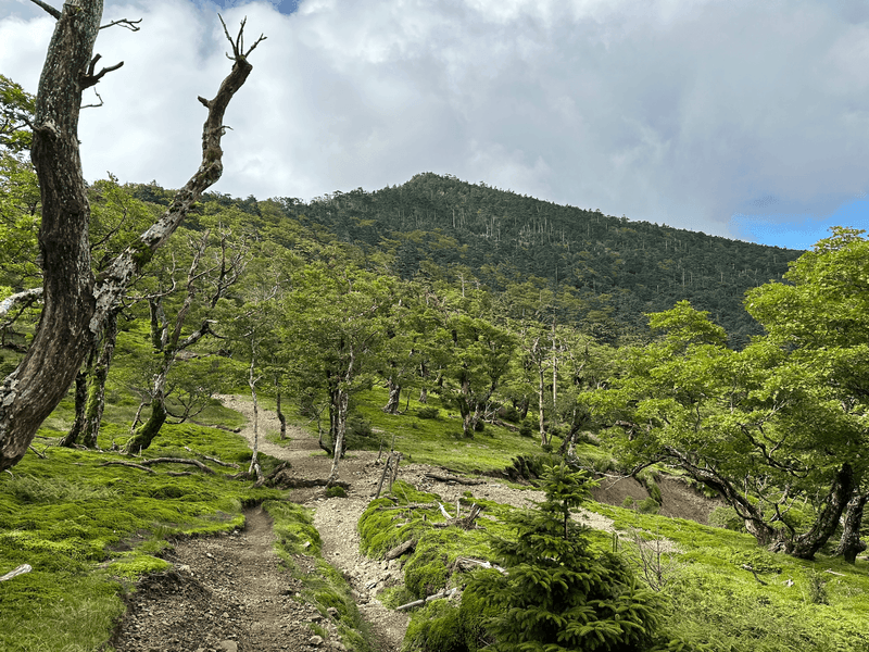 descent towards hakkyo