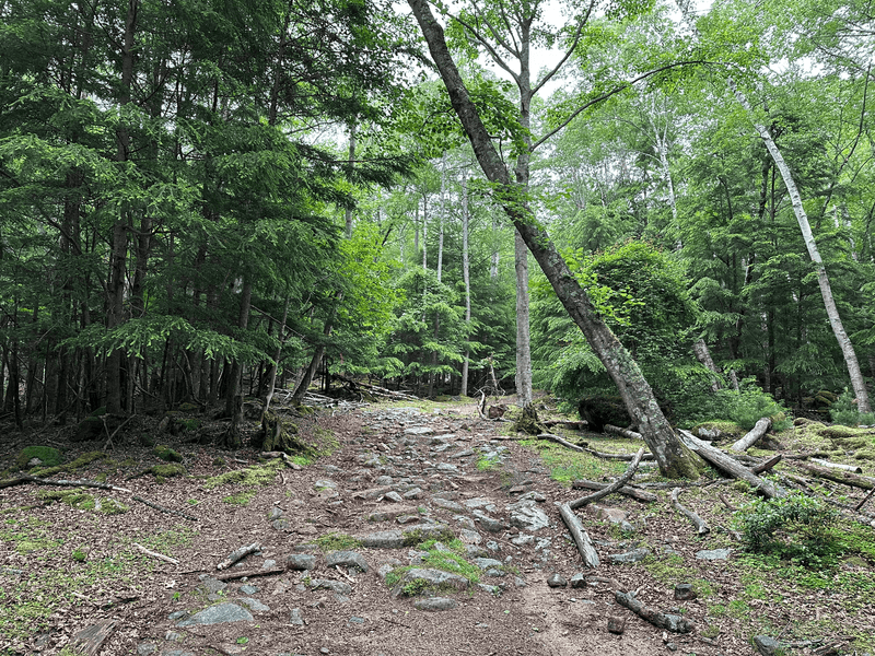 trail start