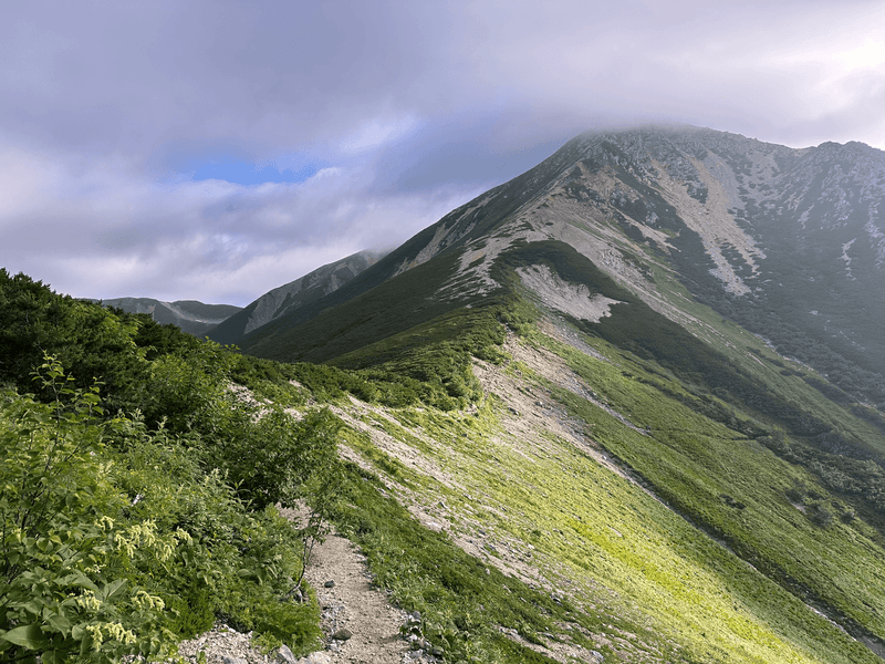 washi ascent