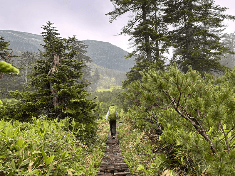 past yakushi zawa walk