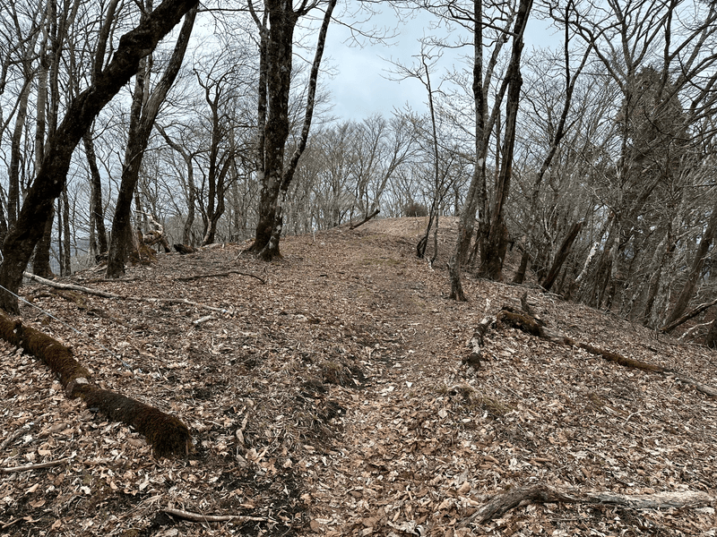 easy trail
