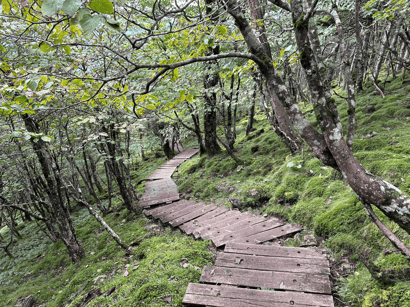 descent stairs