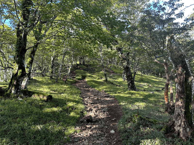 flat trail