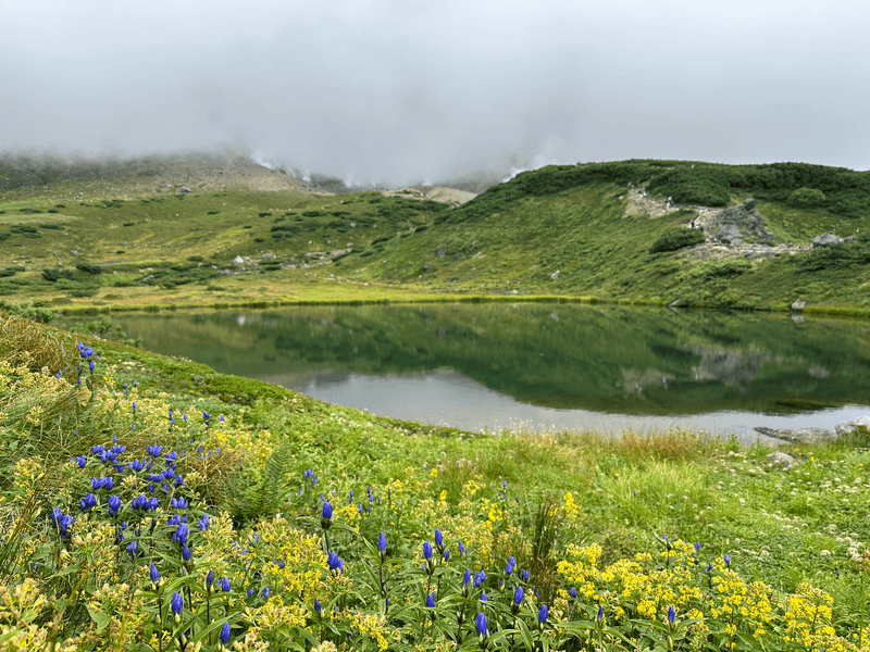 husband pond