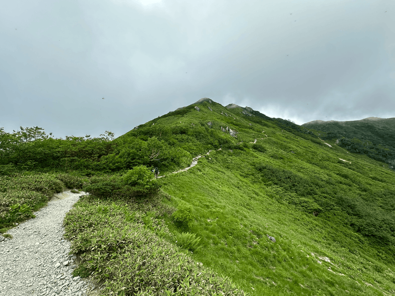 yumiori nokkoshi