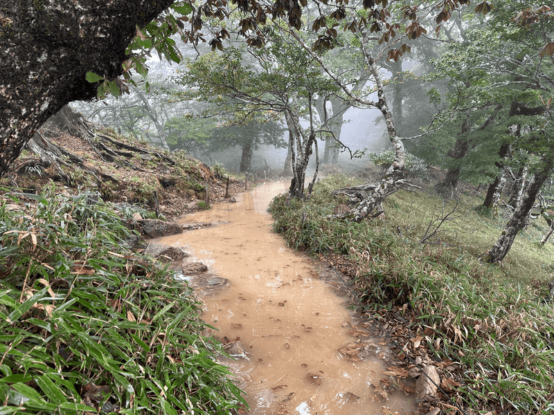 waterlogged trail