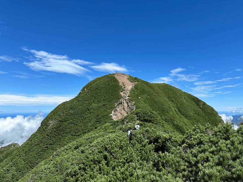 mt shari hill