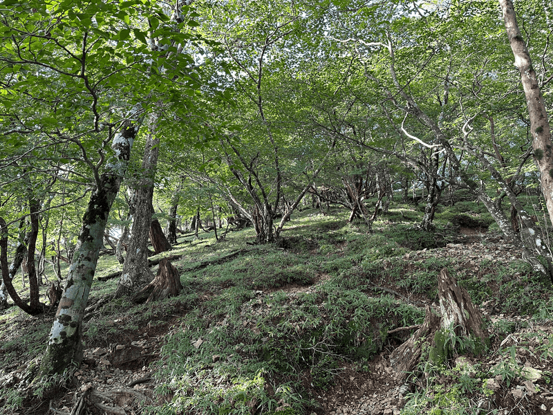 steep switchbacks