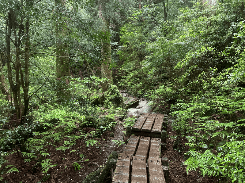 descent path