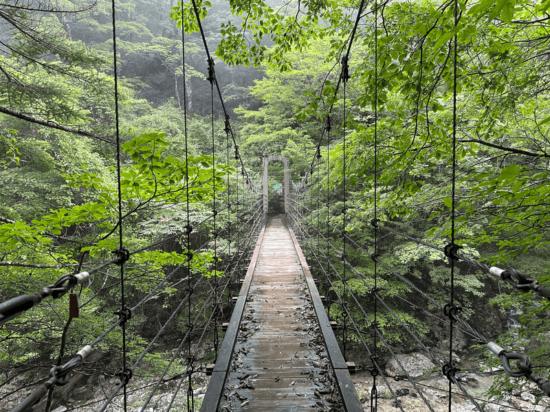 bridge over river