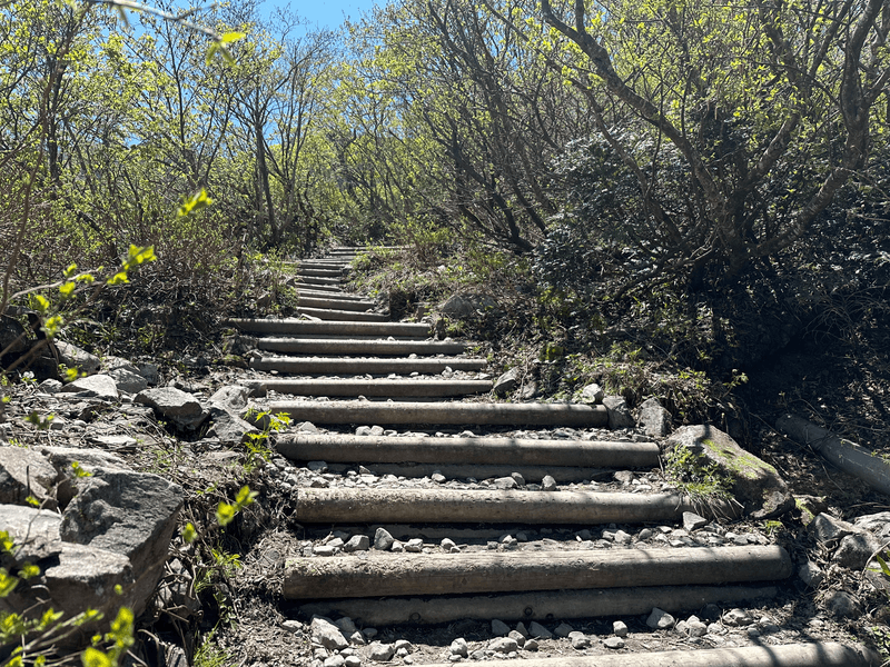 stairs up