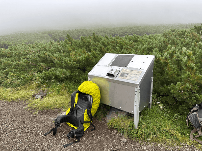 bear locker