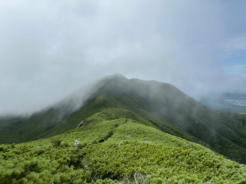 foggy descent