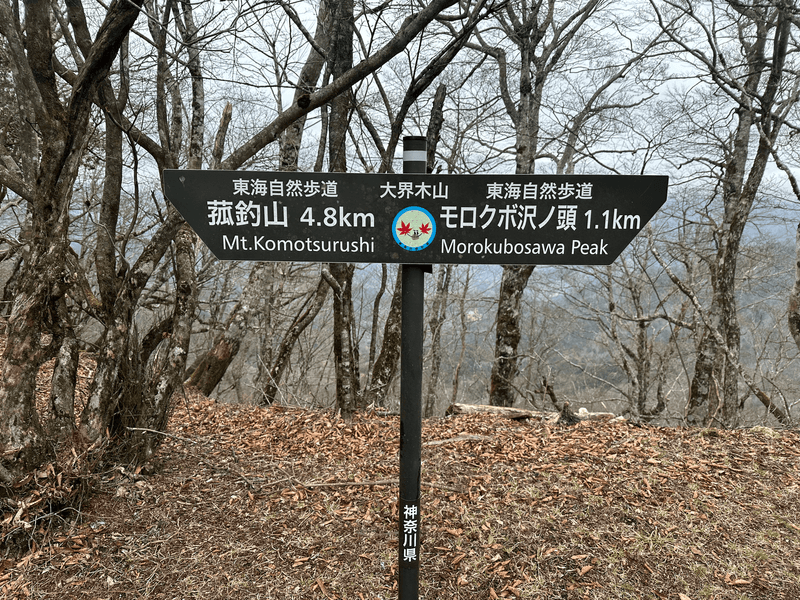 shizen trail