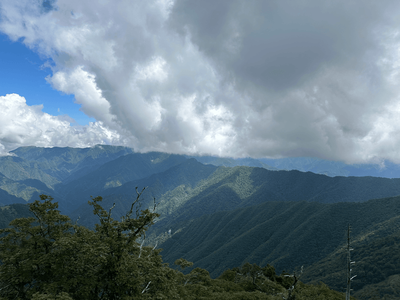 trail views