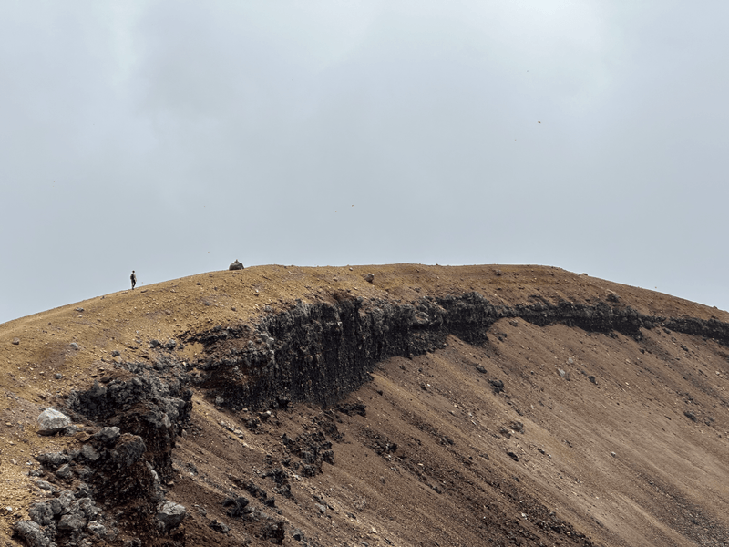 koyo walking