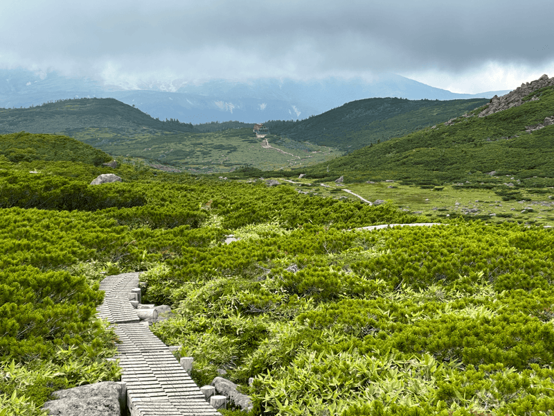 boardwalk to hut