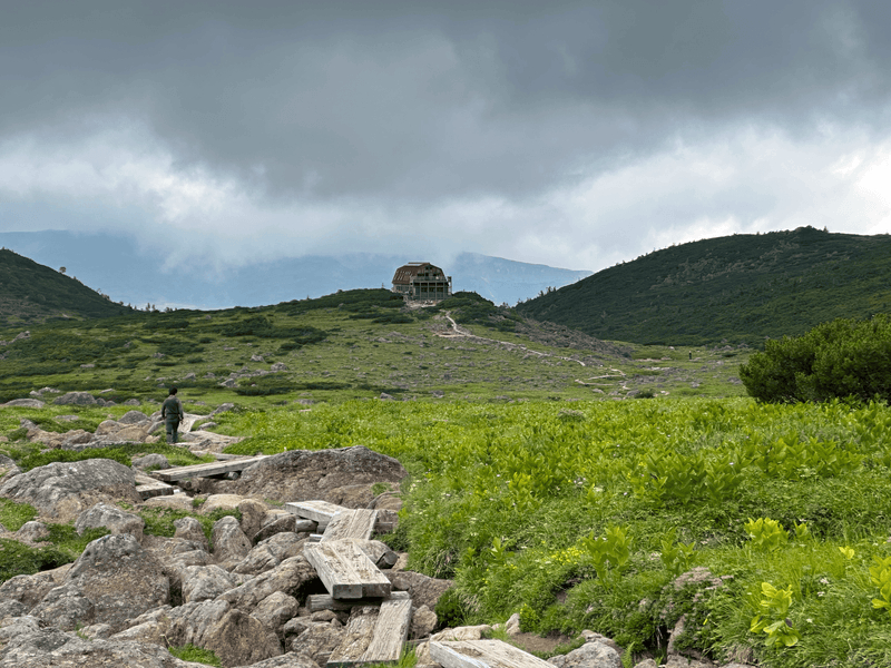 boardwalk to hut 2