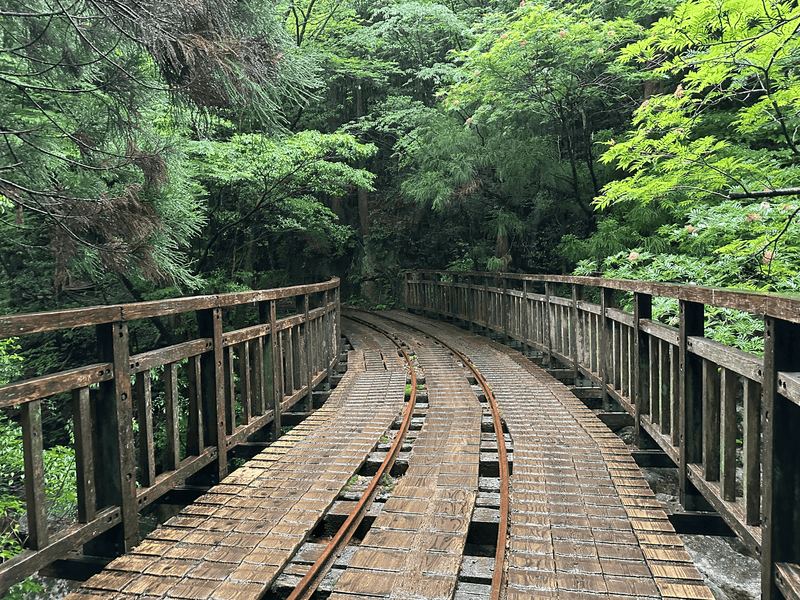 forest railway start
