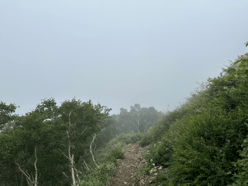 misty descent