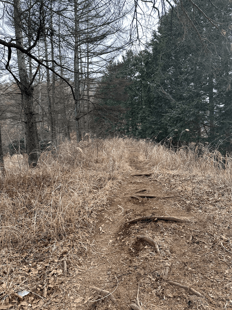 trail continues