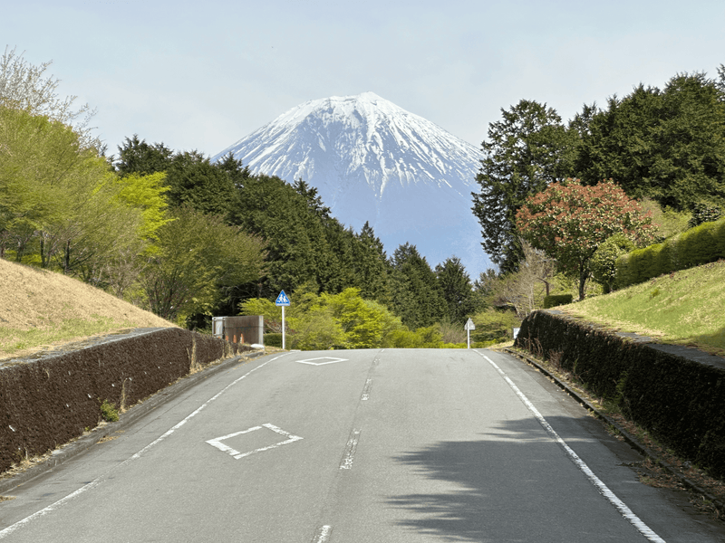 fuji road